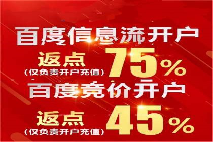 SEM代理服务：提升广告投放效果