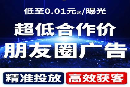 行业领先企业的SEM代理案例剖析